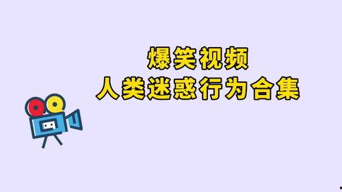 吃瓜群众爆笑视频,笑料百出，欢乐无限