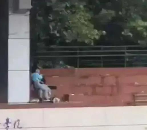 梁山正信楼吃瓜视频,揭秘网红吃瓜现场，一场视觉与味蕾的双重盛宴