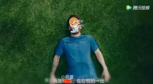 吐槽赛罗吃瓜视频大全,视频大全带你领略明星幕后趣事