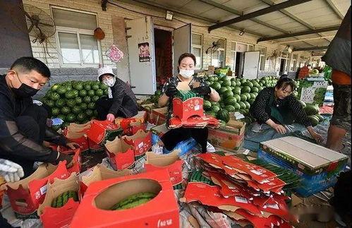 亳州吃瓜群众禁忌事件视频,一场视频引发的全民热议