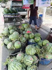 常州湖塘吃瓜事件视频,一场引发热议的街头冲突