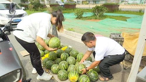 两个吃瓜的视频