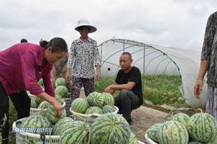 绵阳吃瓜事件视频最新消息,真相大白，网络热议事件再掀波澜