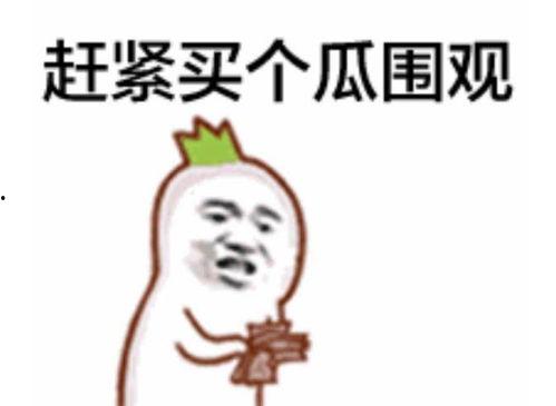 吃瓜群众四姐是谁啊视频,网络红人的崛起之路