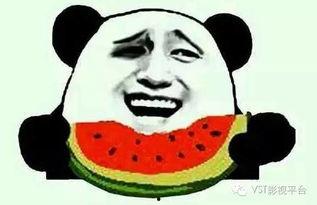 吃瓜群众周大爷视频大全,笑料百出，揭秘娱乐圈幕后趣闻