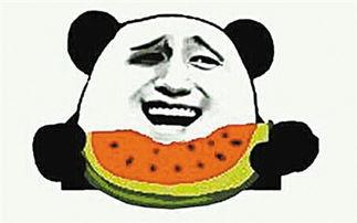 柚子吃瓜群众视频大全集,揭秘热门视频背后的趣味故事