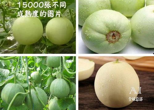 怎样看吃瓜视频最新版