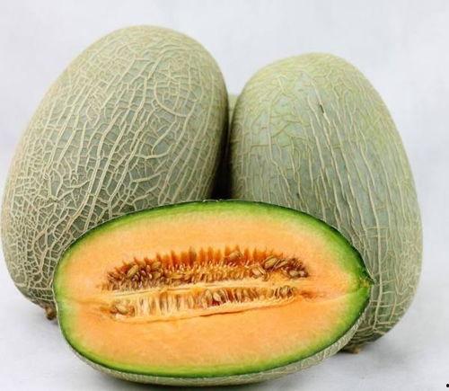 小猫吃哈密瓜会死吗视频,小猫食用后竟不幸离世