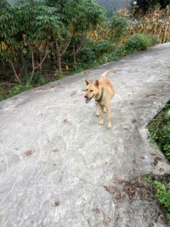 猴子吃瓜视频大全,趣味视频大盘点