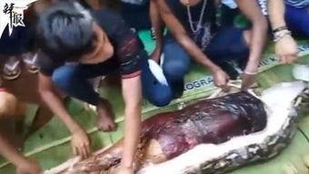 吃瓜视频解剖,一场视觉盛宴的解剖之旅