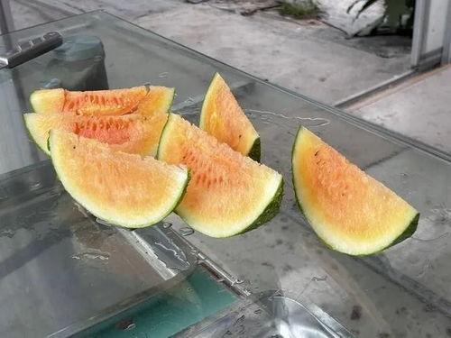 实现吃瓜自由视频大全,带你领略娱乐界的无限精彩