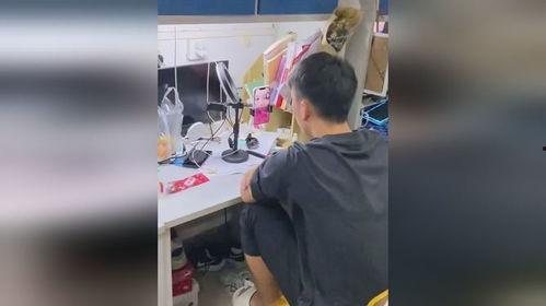 男博主吃瓜视频在哪看,热门平台一览