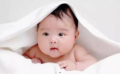 外国新生儿吃瓜视频抖音,萌态百出引网友热议