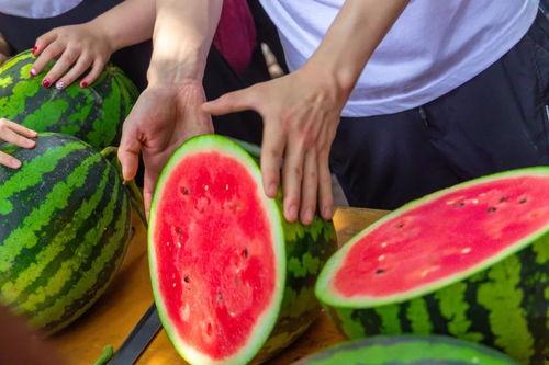 大学食堂原视频吃瓜,揭秘校园美食背后的故事