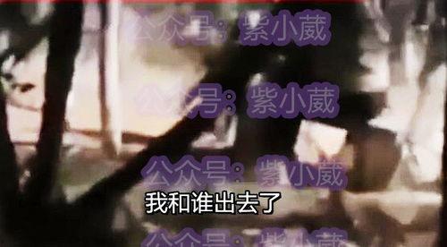 男子吃瓜发现是女友视频,吃瓜之余引发情感纠葛