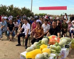 农村的吃瓜观众图片视频,农村吃瓜观众的热闹画卷