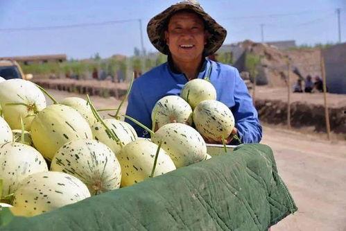 舟曲县吃瓜视频,揭秘当地特色美食与风土人情