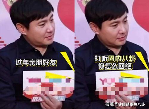 沈腾 采访吃瓜视频全集,笑料百出，揭秘娱乐圈幕后趣事