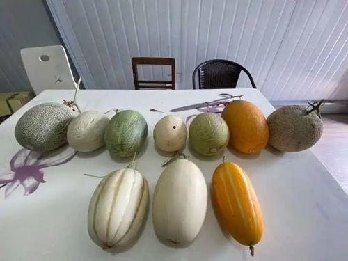 杭州男子吃瓜视频