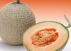 主播吃哈密瓜声控视频下载,主播吃哈密瓜视频下载，甜蜜瞬间尽收眼底