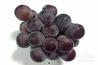 巨峰葡萄吃瓜视频,甜蜜滋味，尽享夏日清凉  第1张