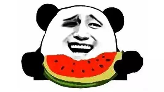 小瓜能不能天天吃呀视频,揭秘天天享用小瓜的奥秘与注意事项  第2张