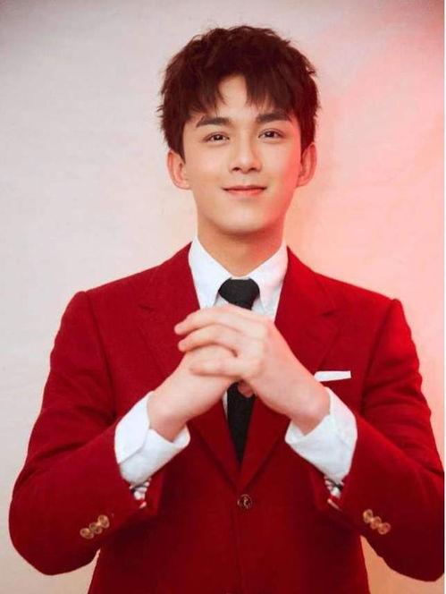 吴磊采访吃瓜视频全集,揭秘明星幕后趣事  第3张