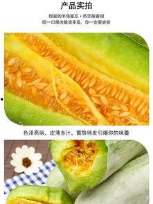 吃瓜过瘾的视频,视频带你领略瓜界狂欢盛宴  第3张