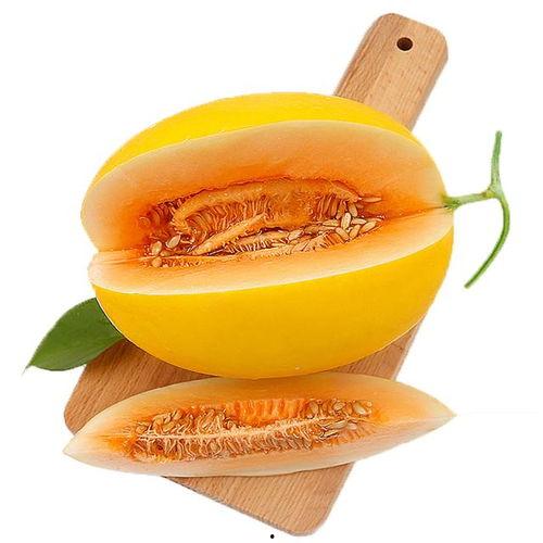 小鱼儿吃蜜瓜视频,小鱼儿萌态可掬的甜蜜瞬间  第3张