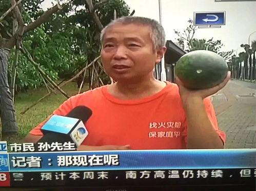 金乡最新吃瓜事件新闻视频,揭秘视频背后的惊人真相  第3张