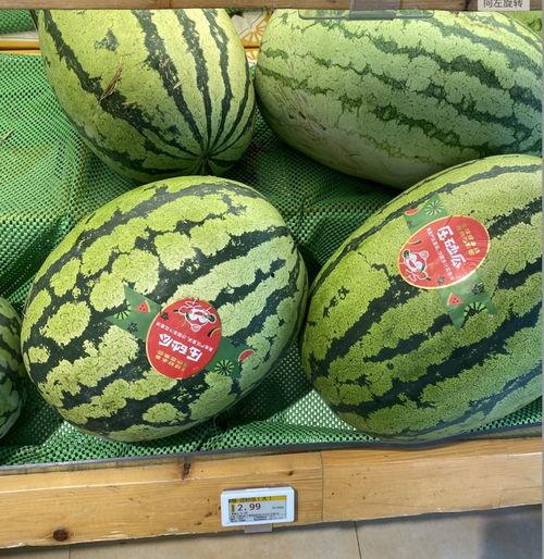 九龙坡区吃瓜事件视频  第2张