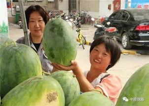 九龙坡区吃瓜事件视频  第3张