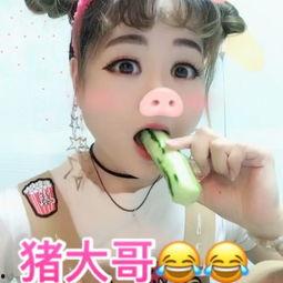 猪吃瓜的视频可爱,瓜田里的欢乐食客  第3张