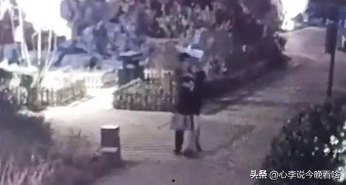 教授吃瓜视频完整版,揭秘校园生活趣味瞬间  第2张