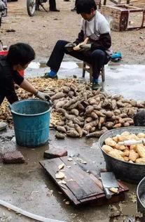 湖南永州吃瓜事件视频,湖南永州“吃瓜事件”视频引发热议  第2张