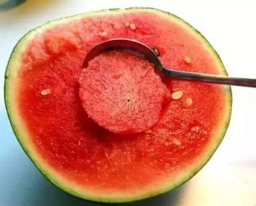 什么瓜适合包馅吃呢视频,揭秘适合包馅的瓜类美食  第1张