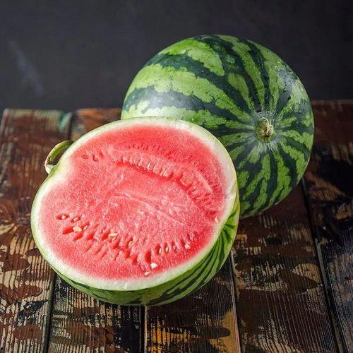 勺子吃麒麟瓜视频播放全集