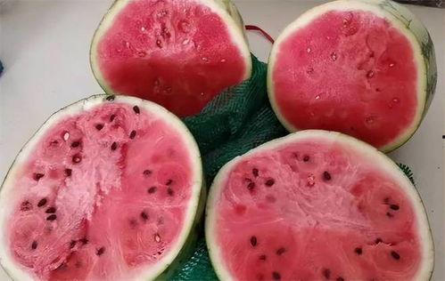 勺子吃麒麟瓜视频播放全集  第3张