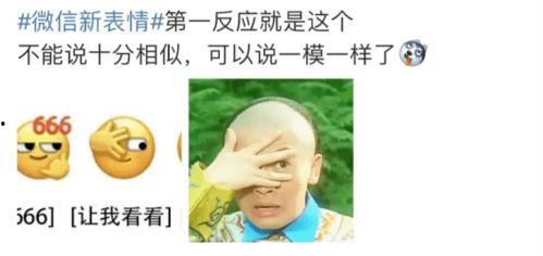 山东吃瓜大事件视频,一场全民热议的视觉盛宴