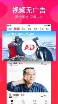 瓜哥吃货视频大全下载免费,免费下载，畅享美食盛宴  第2张