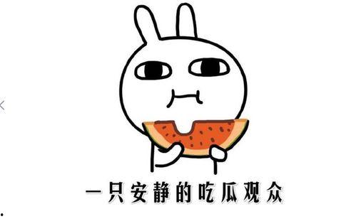 打假吃瓜事件视频大全,视频大全背后的真相与争议  第2张