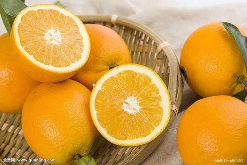 石瓜吃橙子视频大全,趣味视频大盘点  第3张