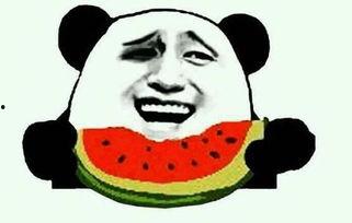 吃瓜群众视频怎么画图片,揭秘现代视觉创作奥秘  第2张