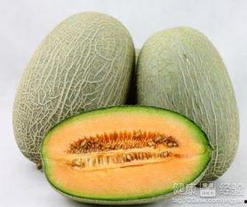 吃一口哈密瓜视频