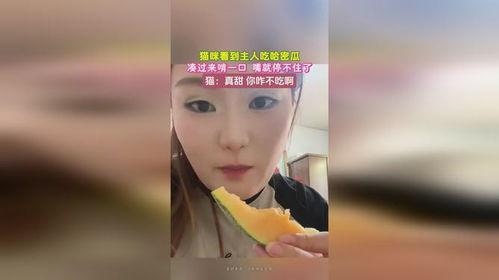 吃一口哈密瓜视频  第2张