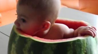 儿童吃瓜的视频,宝宝欢乐吃瓜瞬间  第3张